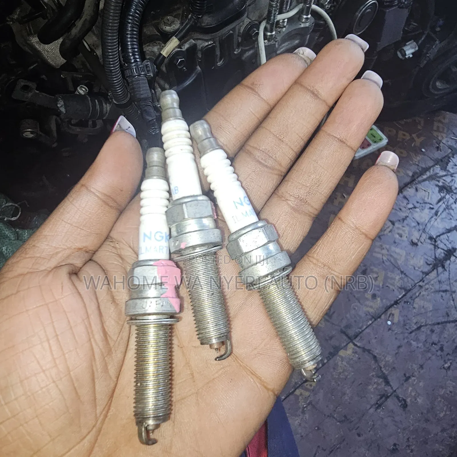 Spark Plugs Suzuki Alto