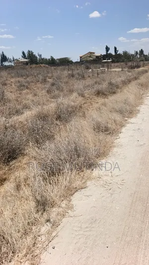 80 Acres in Kadafu