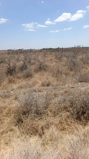 80 Acres in Kadafu
