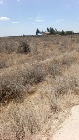 80 Acres in Kadafu