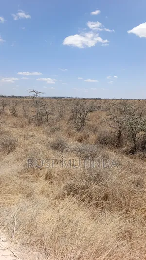 80 Acres in Kadafu