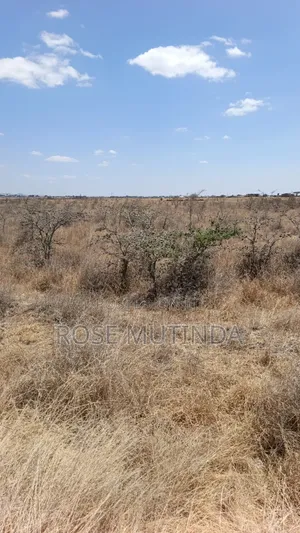 80 Acres in Kadafu