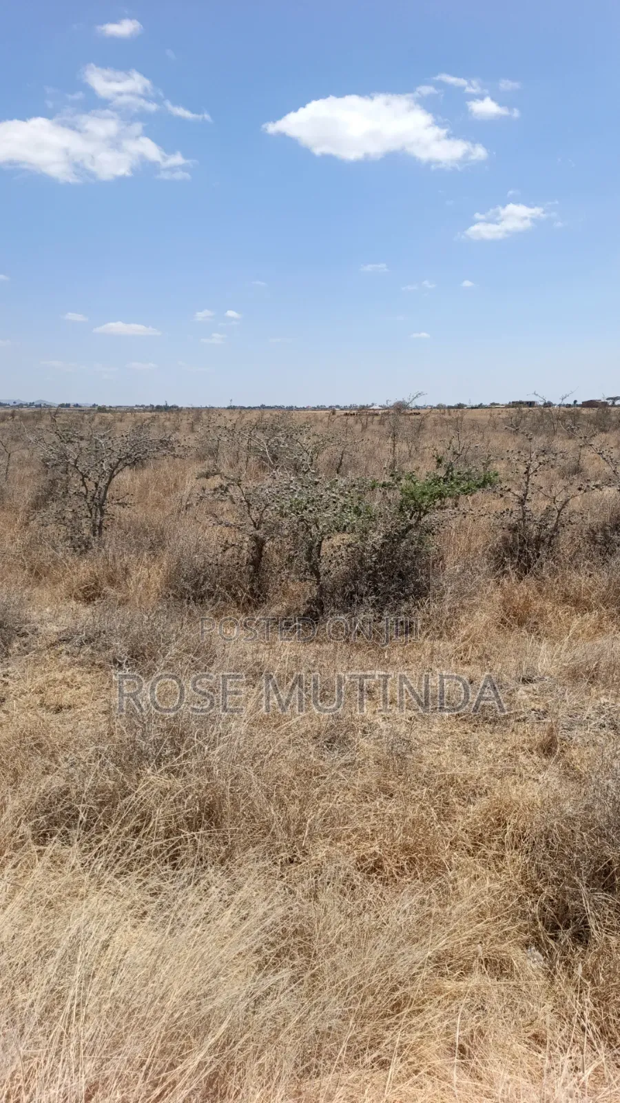 80 Acres in Kadafu