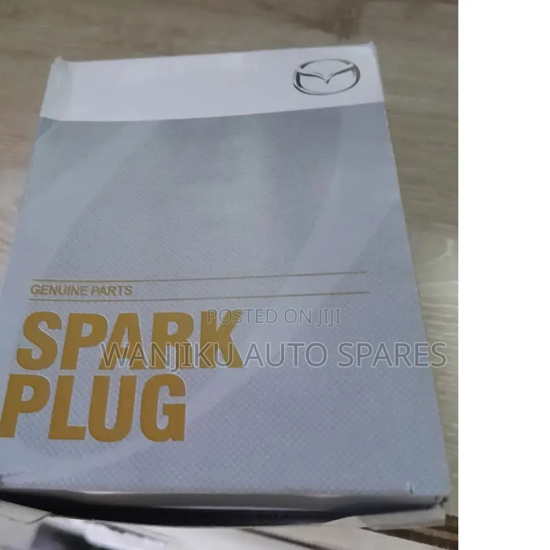 Spark Plug