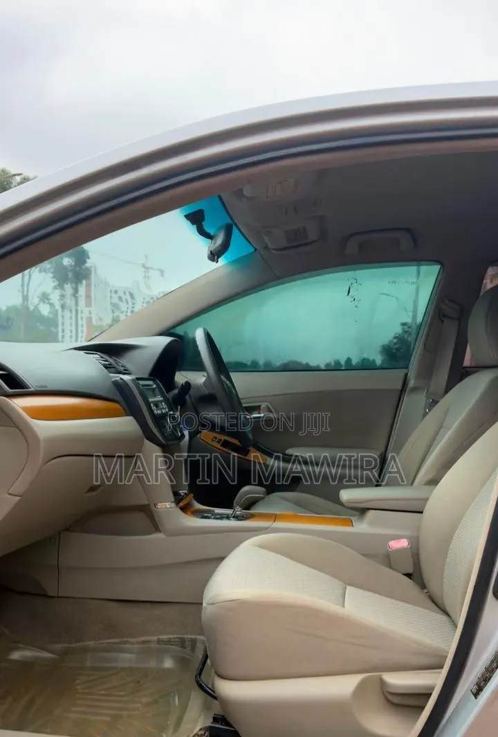 Toyota Premio 2009 Silver