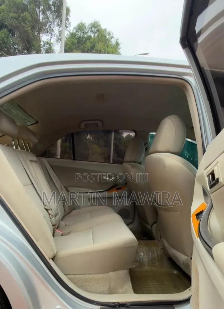 Toyota Premio 2009 Silver
