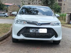 Toyota Corolla Fielder 2017 White