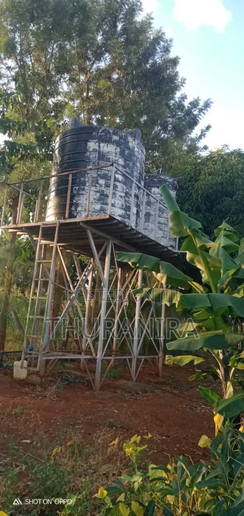 Avocado Farm