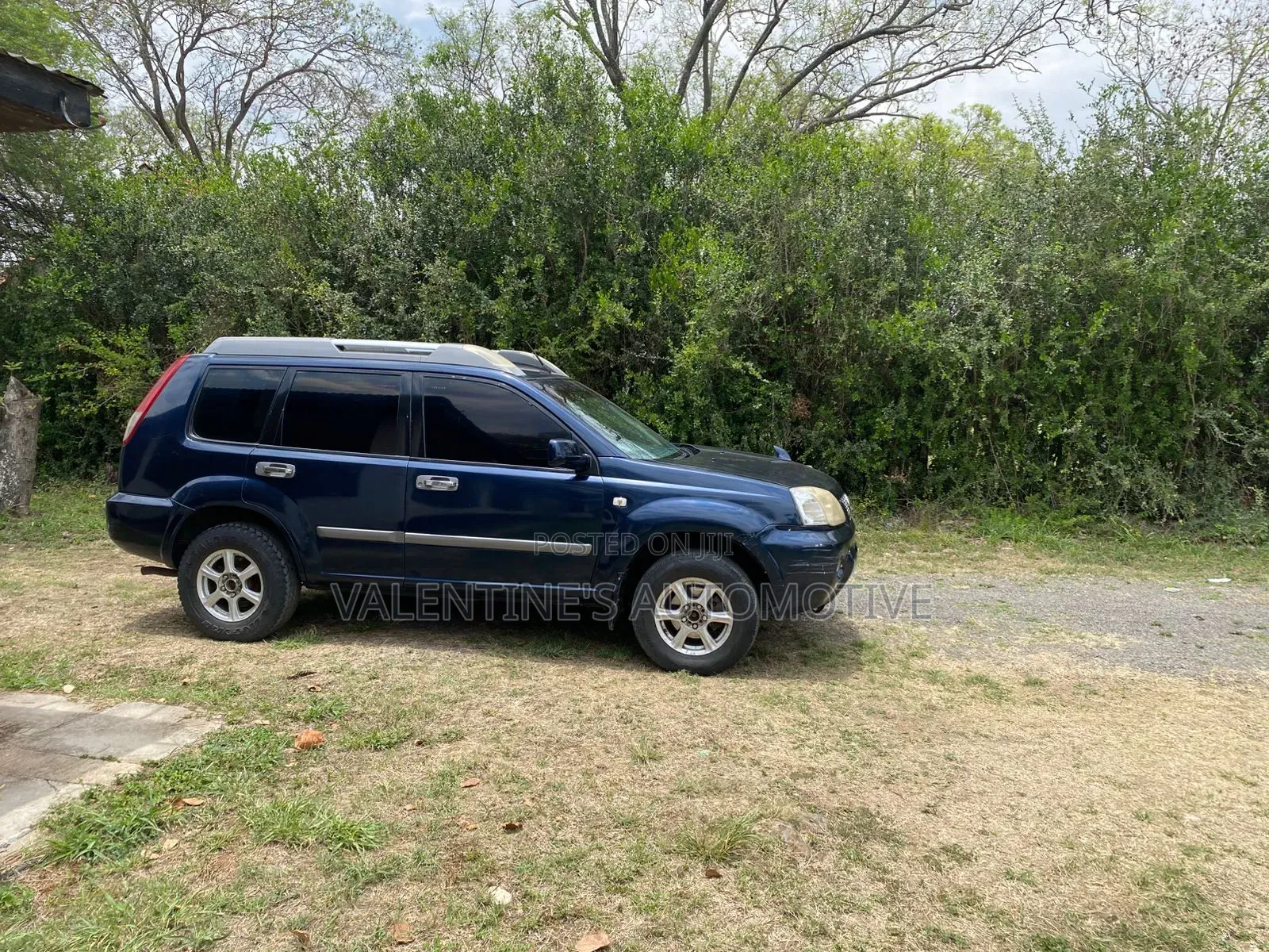Nissan X-Trail 2004 Blue