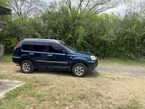 Nissan X-Trail 2004 Blue