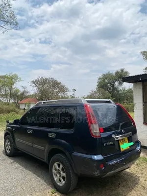 Nissan X-Trail 2004 Blue