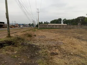1/2 Acre Land