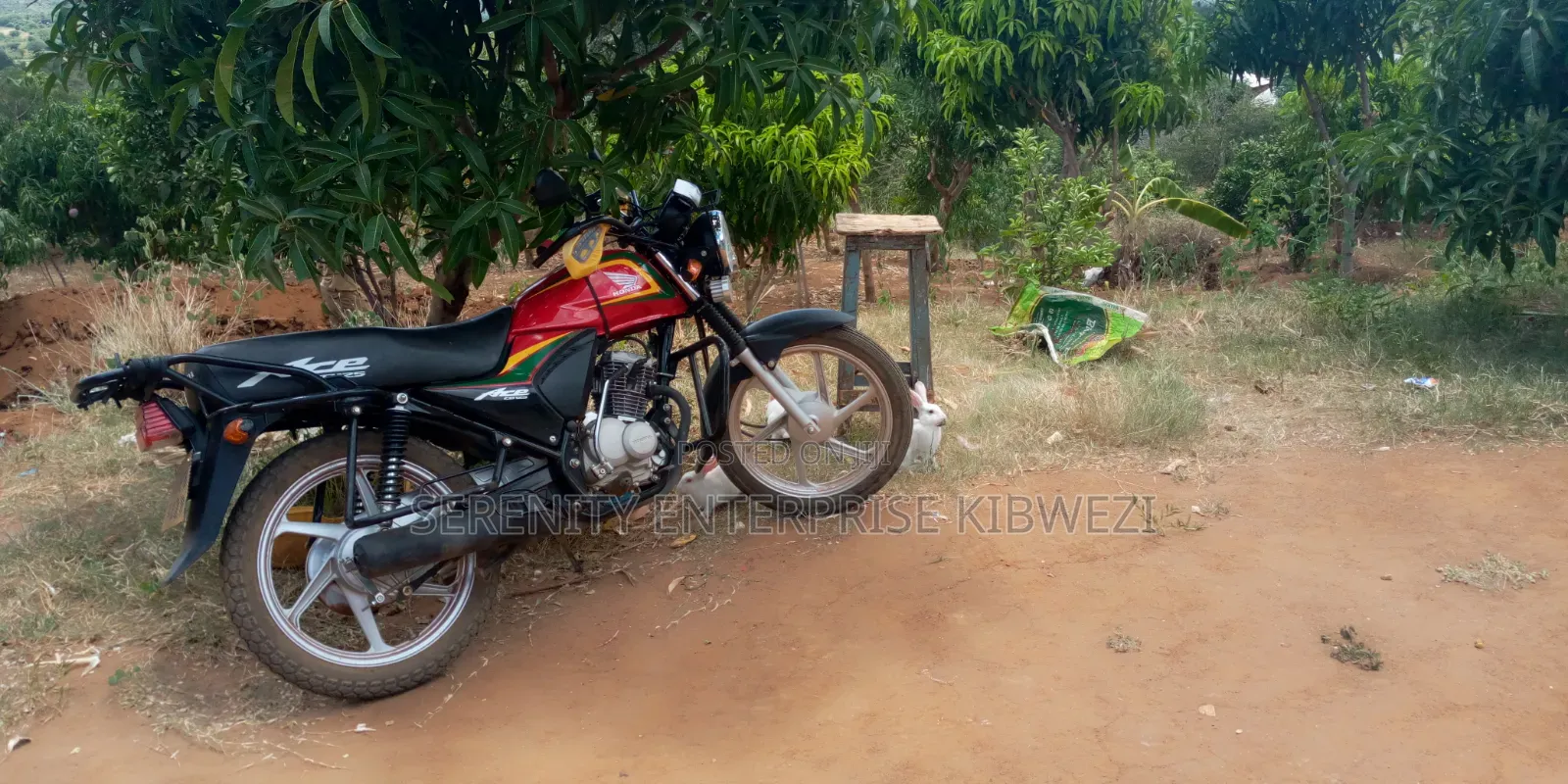 Honda XL 125 2019 Red