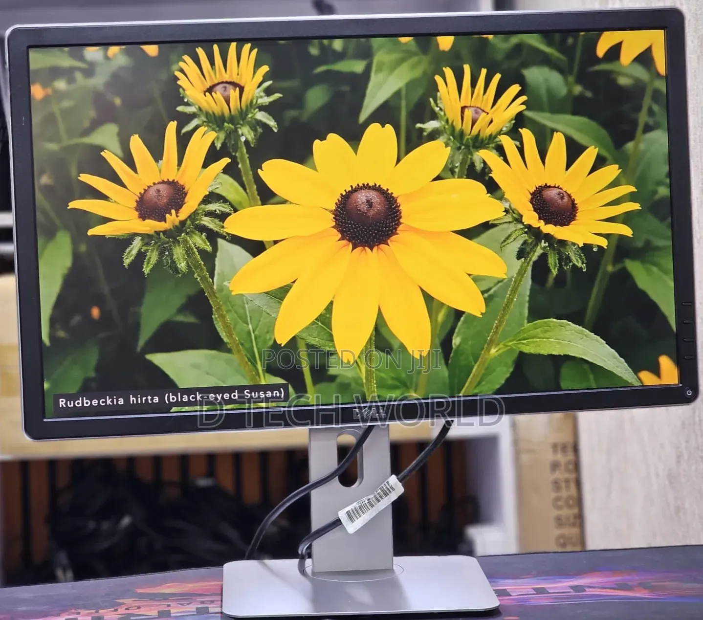 Dell P2414h
24 Inches Framed Monitor
✅Display Port
✅vga Port