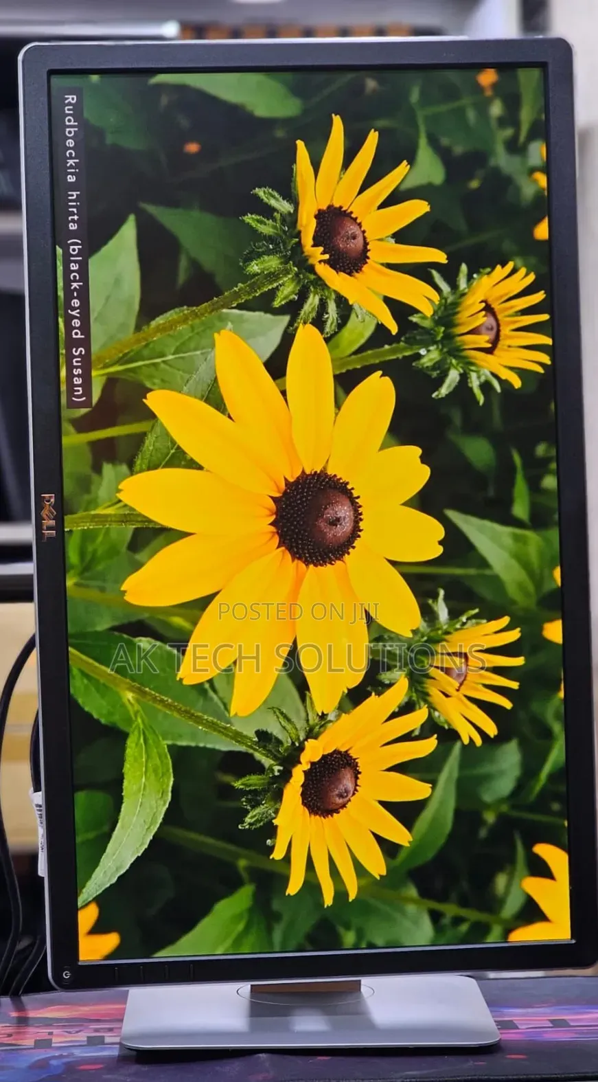 Dell P2414h
24 Inches Framed Monitor