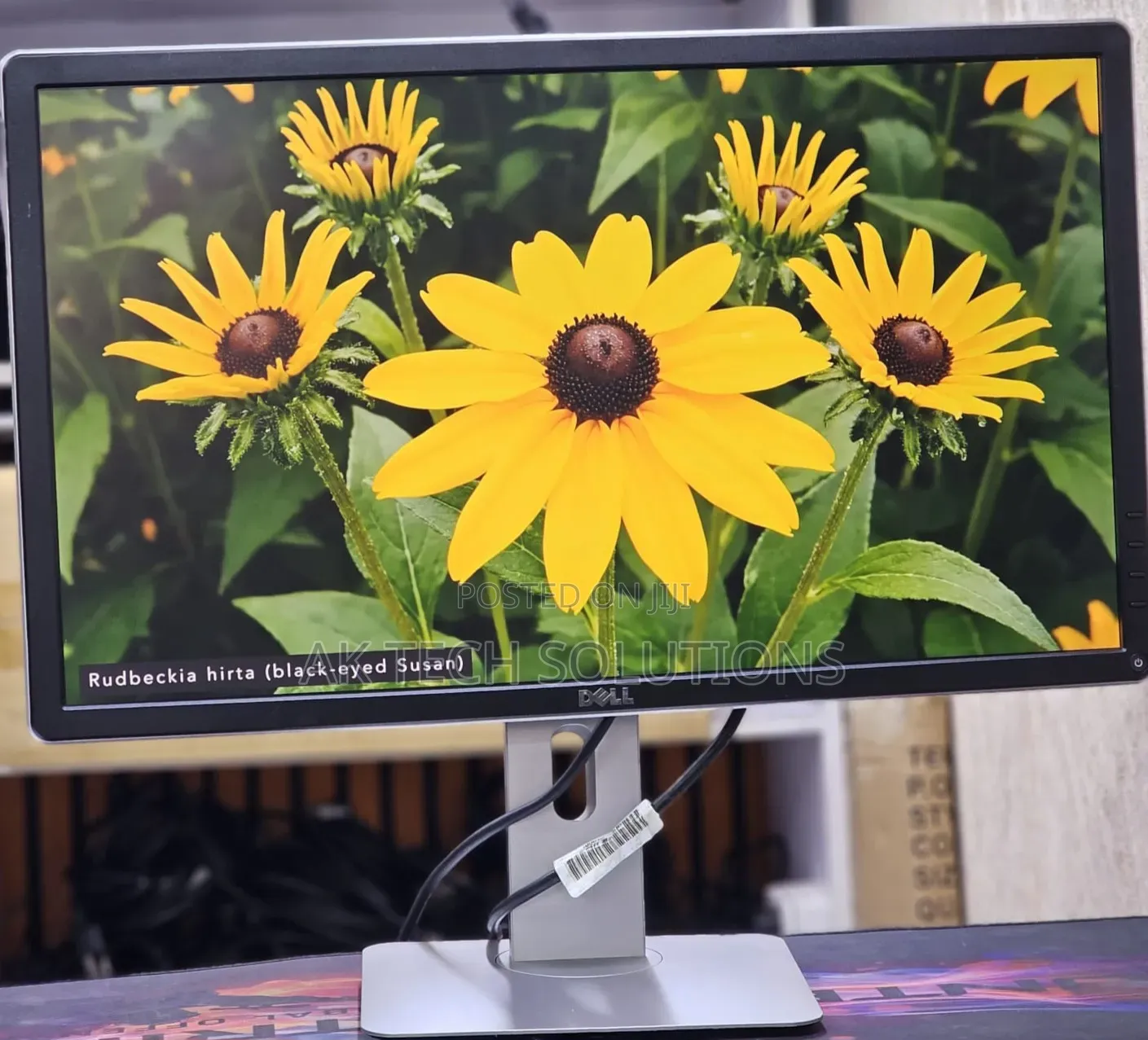 Dell P2414h
24 Inches Framed Monitor