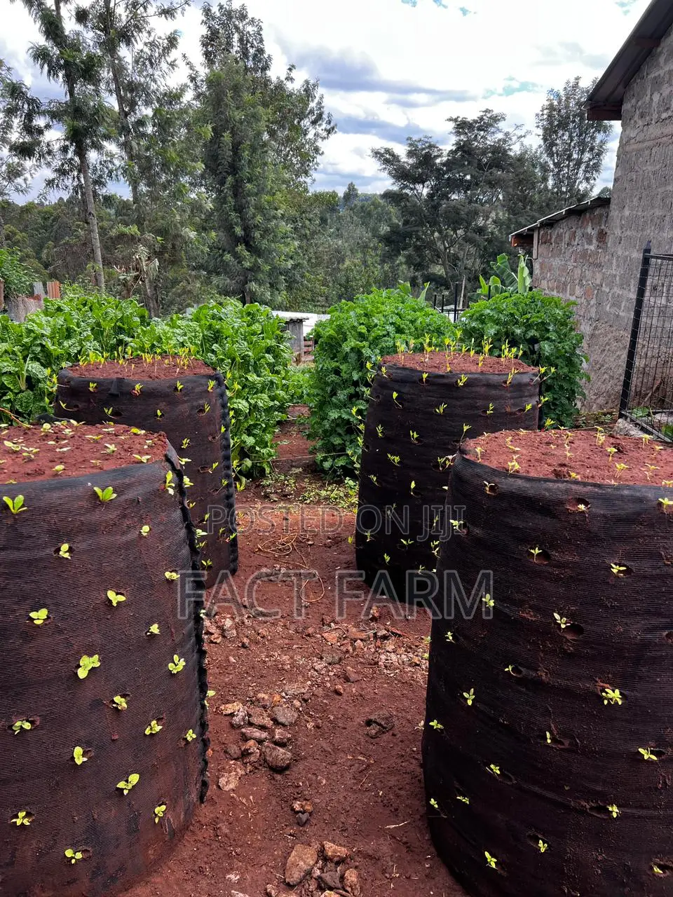 Vertical Vegetable Bags and Irrigation for Sale