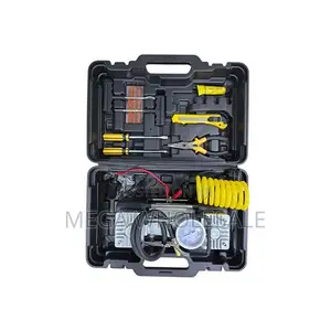 Free Storage Box 12V Double Cylinder Car Air Compressor Pump
