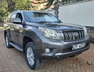 Toyota Land Cruiser Prado 2010 Gray