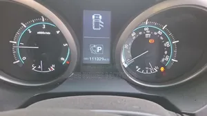 Toyota Land Cruiser Prado 2010 Gray