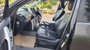 Toyota Land Cruiser Prado 2010 Gray