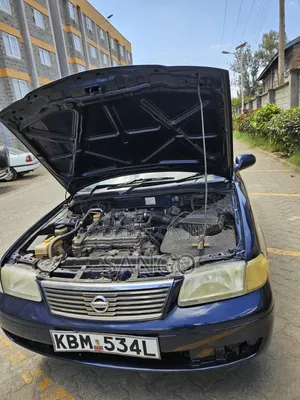 Nissan Sunny 2004 Blue