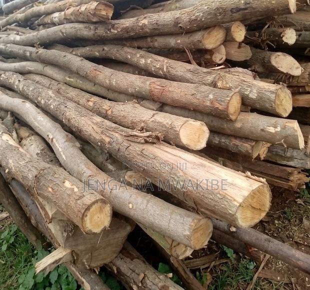 Timber Wood Shutter Props