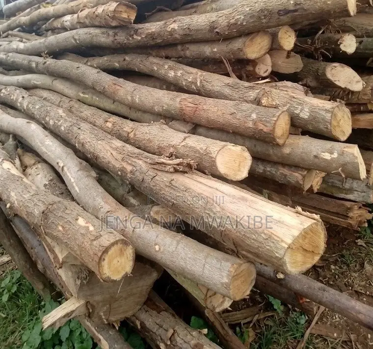 Timber Wood Shutter Props