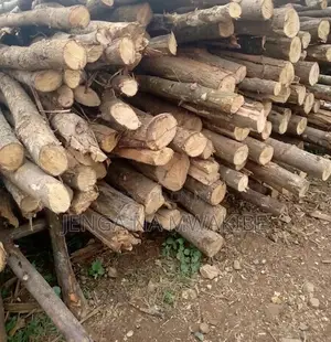 Timber Wood Shutter Props