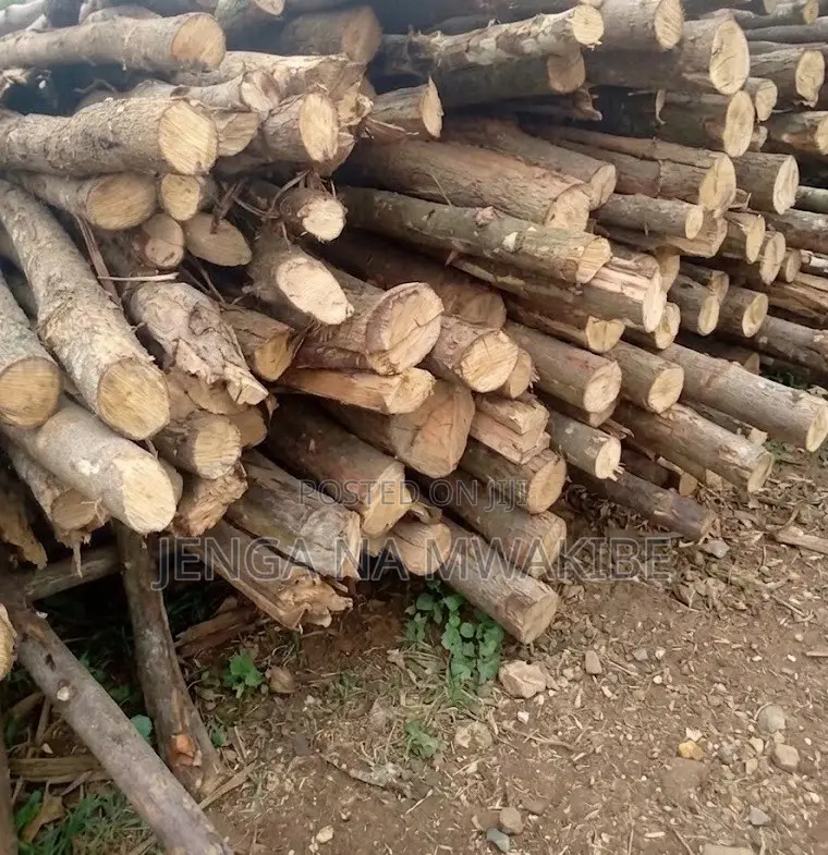 Timber Wood Shutter Props