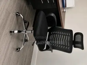 Ergonomic Office Chair With Headrest