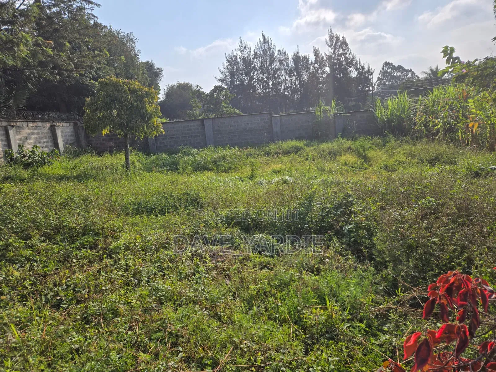 1⁄2 Acre Land for Sale