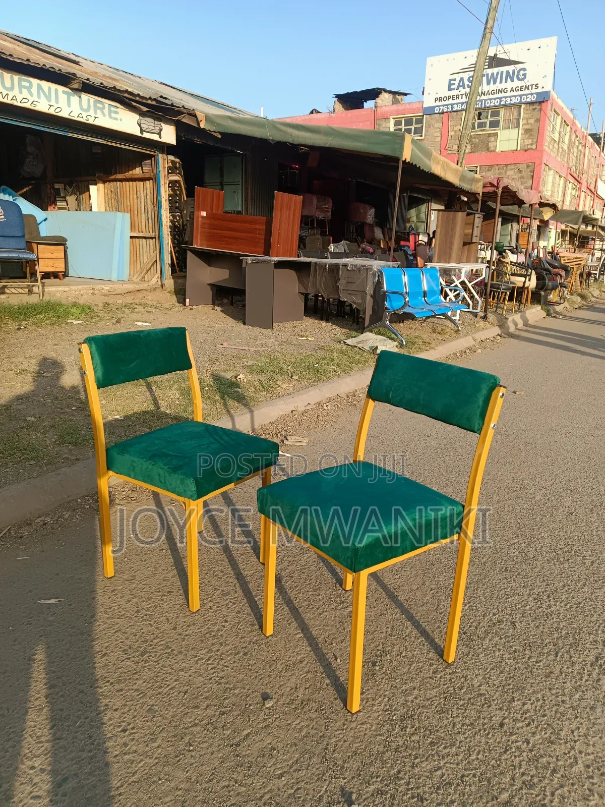 Caterina or Salon Green Chairs