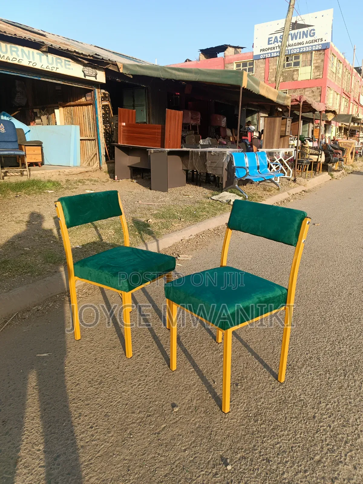 Caterina or Salon Green Chairs