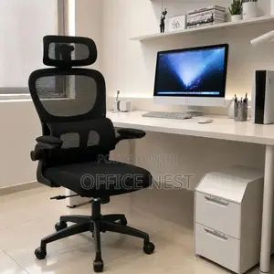 Ergonomic Office Chair With Headrest