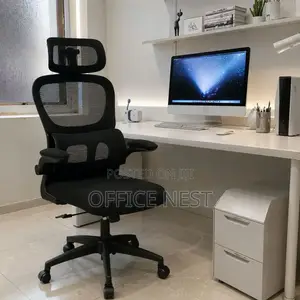 Ergonomic Office Chair With Headrest