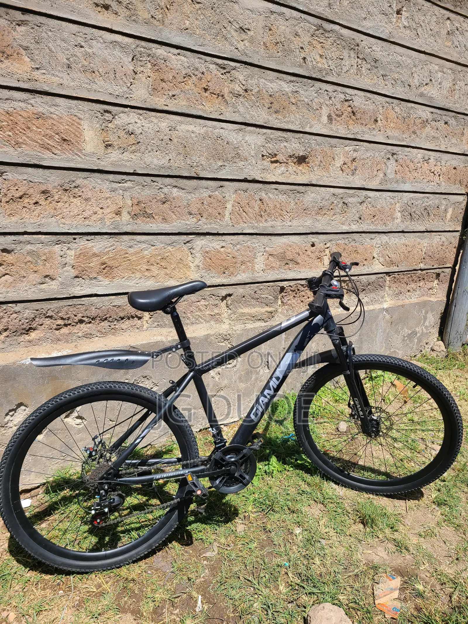 Mountain Bike