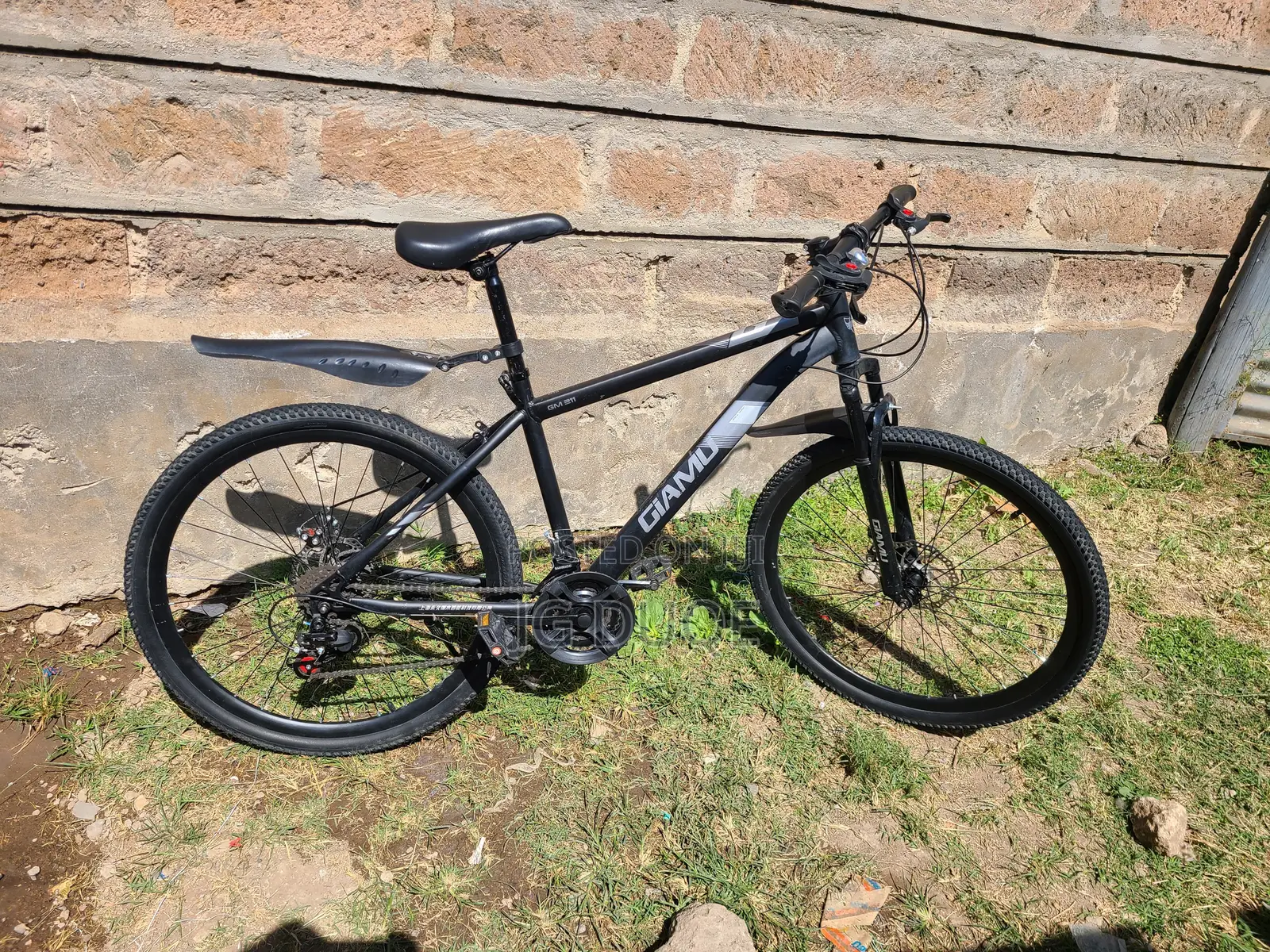 Mountain Bike