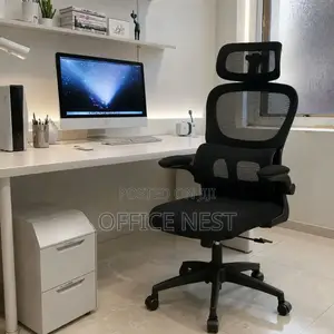 Ergonomic Office Chair With Headrest