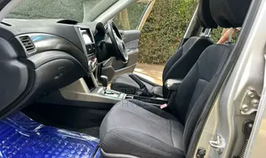 Subaru Forester 2009 Silver