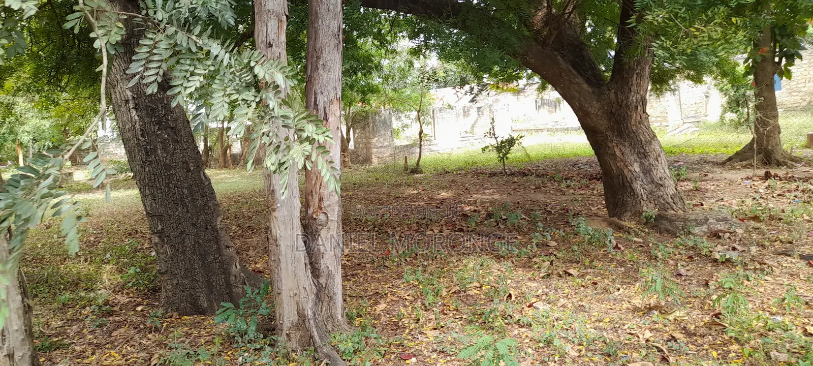 Prime Commercial Land for Sale