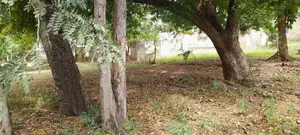 Prime Commercial Land for Sale