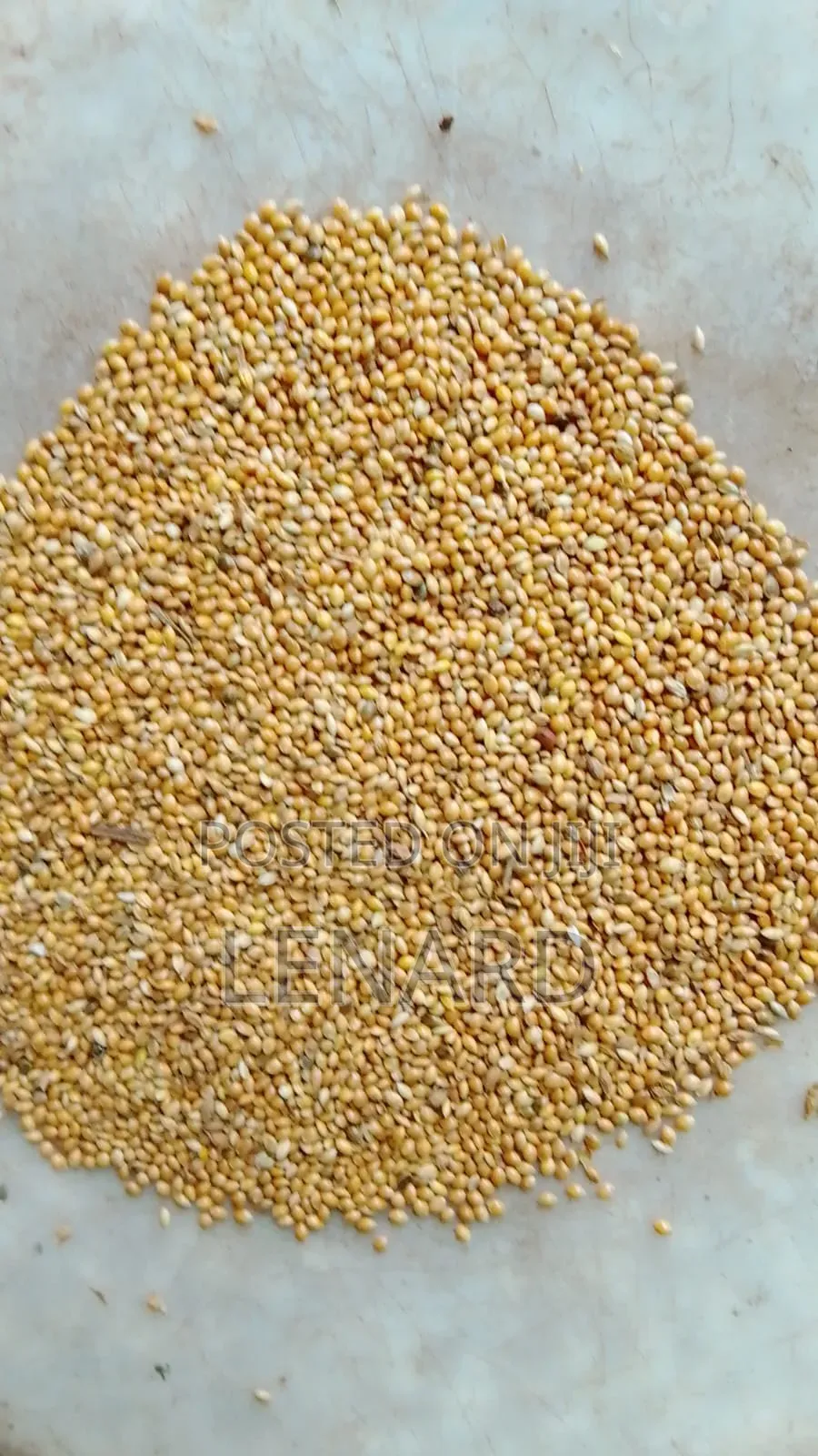 Mukombi/Foxtail Millet