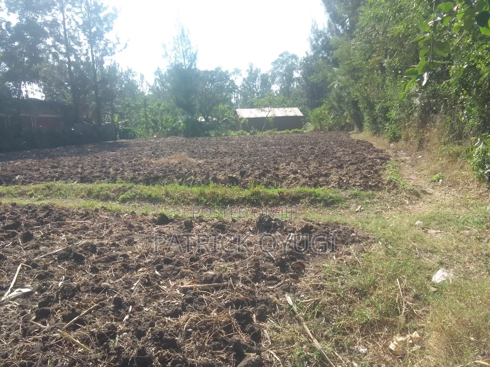 0.13ha in Kisumu Kibos Are for Sale