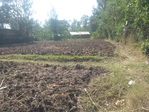 0.13ha in Kisumu Kibos Are for Sale