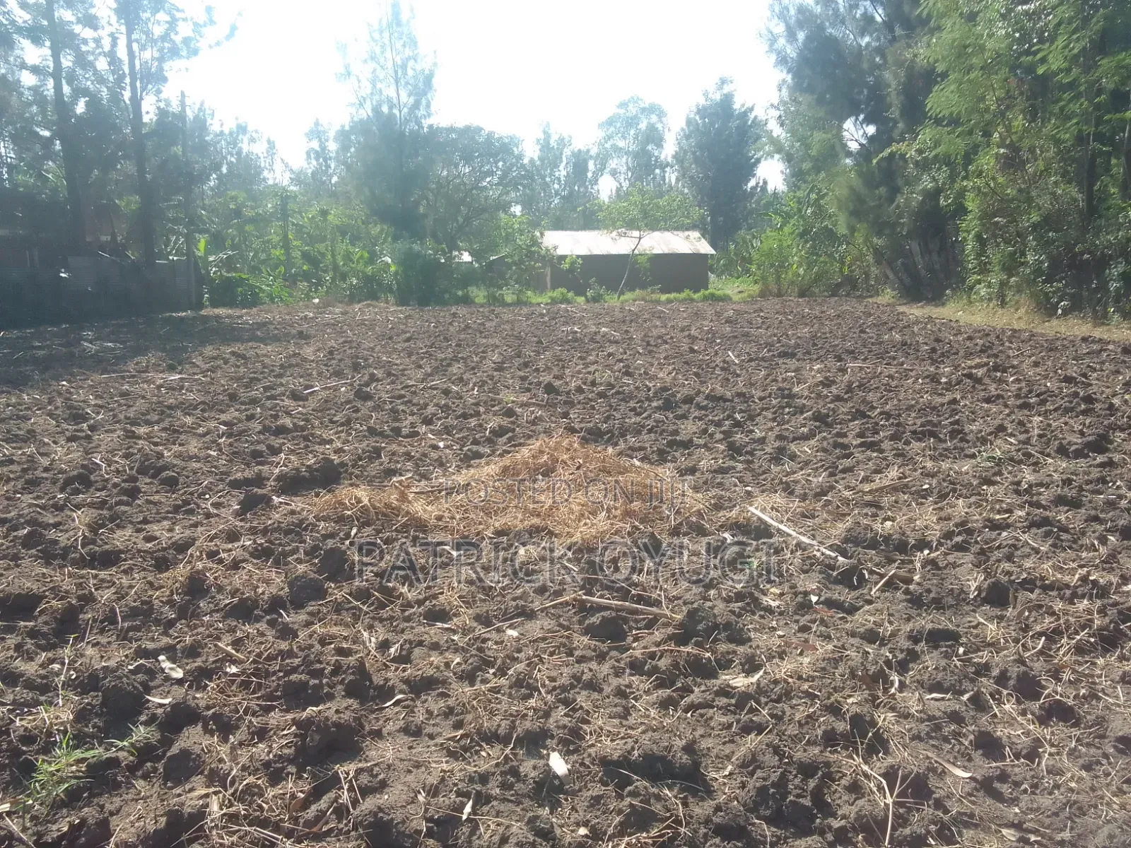 0.13ha in Kisumu Kibos Are for Sale