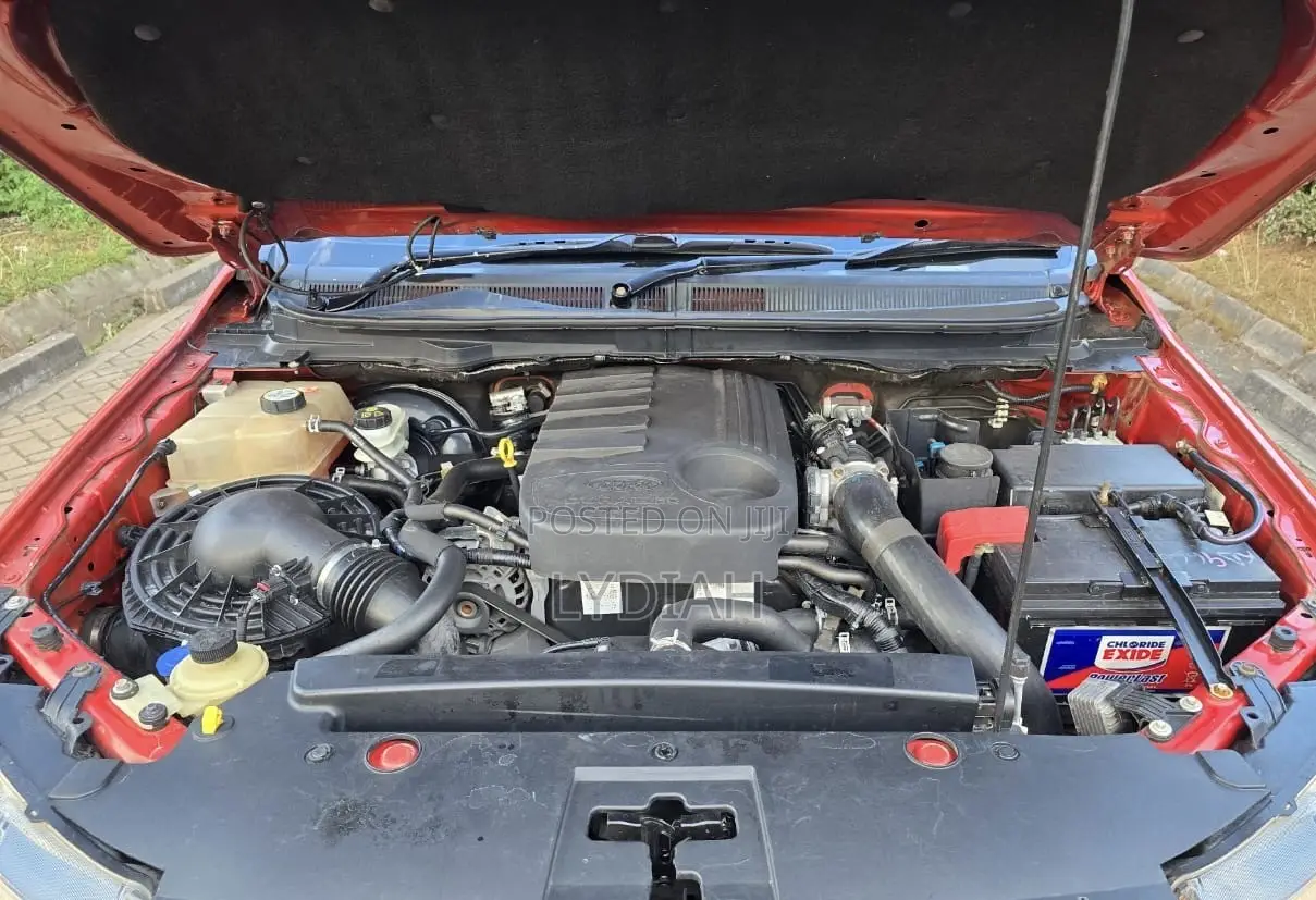Ford Ranger Wildtrak 2014 Orange