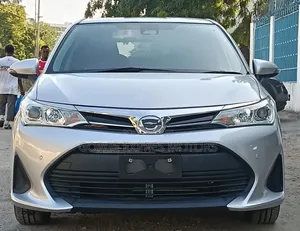 Toyota Corolla Fielder 2020 Silver