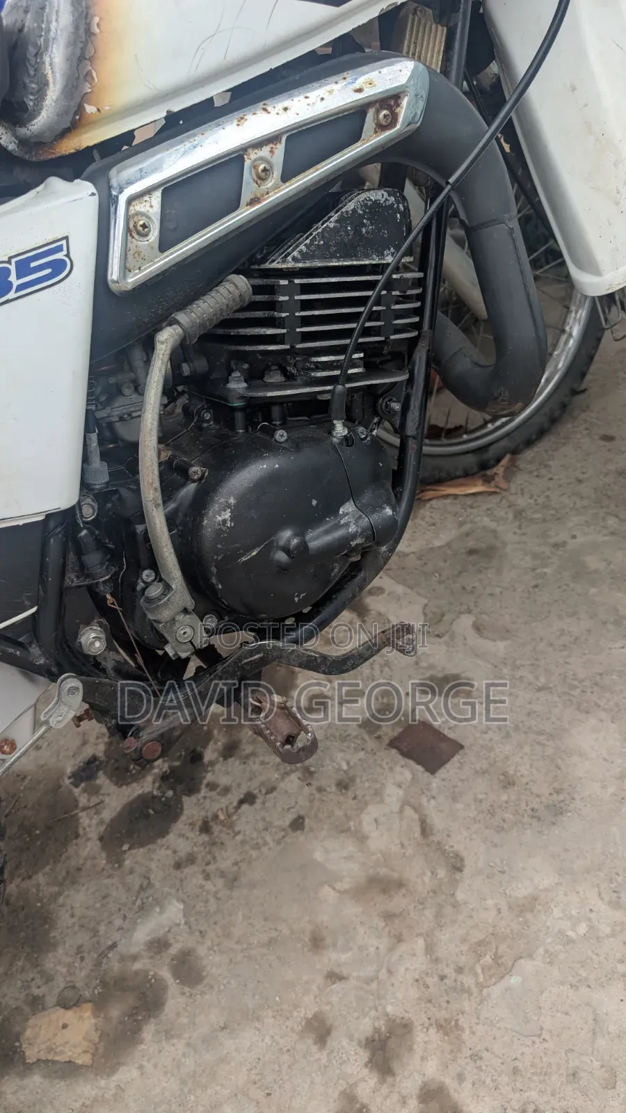 Suzuki 2022 White