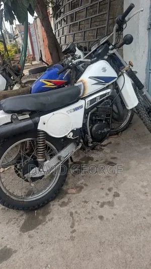Suzuki 2022 White